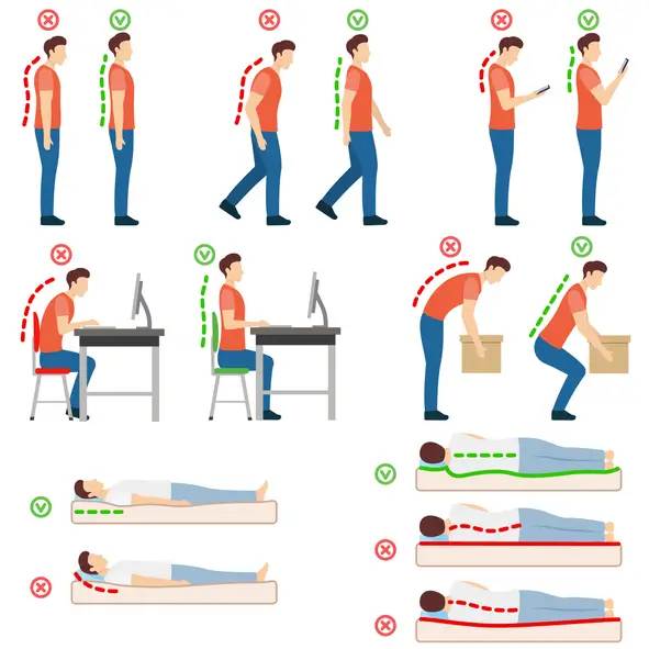 Understanding Ergonomics